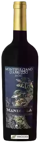 Winery Mandorla - Montepulciano d'Abruzzo