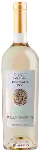 Winery Mandorla - Pinot Grigio delle Venezie