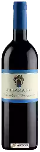 Winery Marchesi Fumanelli - Squarano