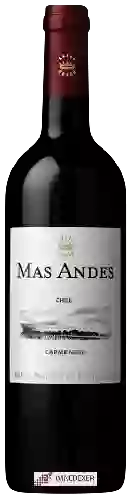 Winery Mas Andes - Carménère