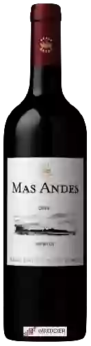 Winery Mas Andes - Merlot