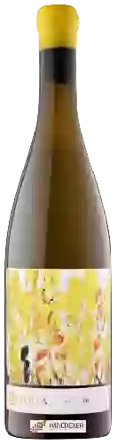 Winery Mas Comtal - Petrea Chardonnay