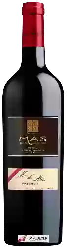 Winery Mas des Mas - Saint Chinian