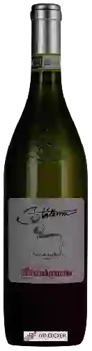 Winery Mastroberardino - Fiano di Avellino Stilema