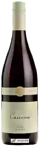 Winery McNab Ridge - Carisma Syrah