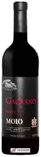 Winery Moio - Gaurano Rosso