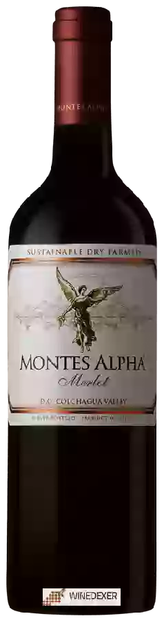 Winery Montes - Merlot