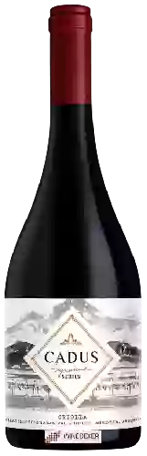 Winery Nieto Senetiner - Cadus Signature Series Criolla