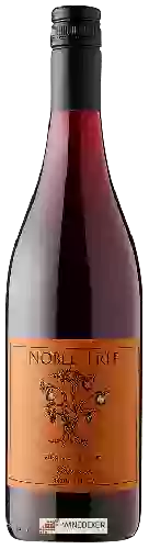 Winery Noble Tree - Grenache