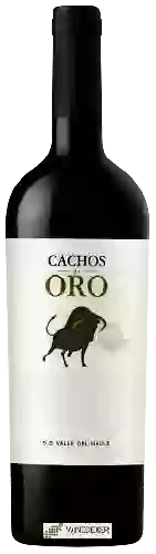 Winery Leyendas de Familia - Cachos de Oro