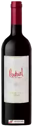 Winery Norton - Perdriel Series Syrah