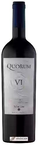 Winery Norton - Quorum VI