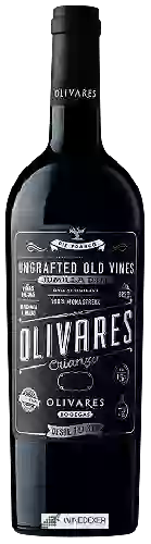 Winery Olivares - Crianza