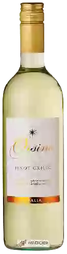 Winery Orsino - Pinot Grigio