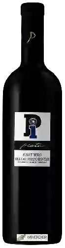 Winery Padroggi La Piotta - Piota Pinot Nero dell'Oltrepo Pavese