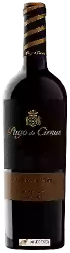 Winery Pago de Cirsus - Selección de Familia