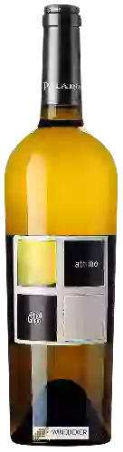 Winery Paladin - Attimo Pinot Grigio