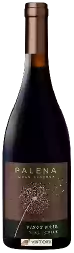 Winery Palena - Gran Reserva Pinot Noir