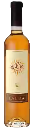 Winery Palma - Elis