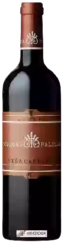 Bodegas Palmera - Viña Capricho