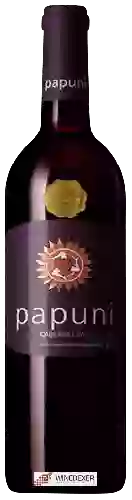 Winery Papuni - Cabernet Sauvignon - Syrah