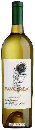 Winery Pavo Real - White