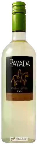 Winery Payada - Chilean White