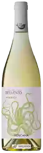Winery Petra - Belvento Ansonica