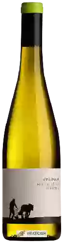 Winery Weingut Pflüger - Michelsberg Riesling