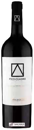 Winery Pico Cuadro - Vendimia Seleccionada