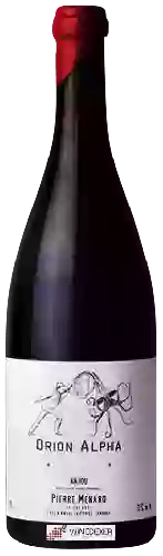 Winery Pierre Menard - Orion Alpha