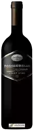 Winery Poggiobello - Pinot Nero Friuli Colli Orientali