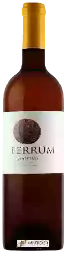 Winery Pontecabaleiros - Ferrum Albari&ntildeo