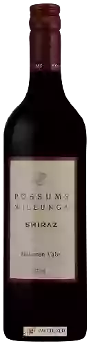 Winery Possums - Willunga Shiraz