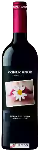 Bodegas Ferri - Primer Amor Tempranillo