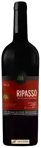 Winery Progetti Agricoli - Valpolicella Ripasso 'Ardevi'