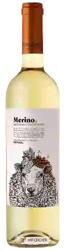 Winery Merino - Branco
