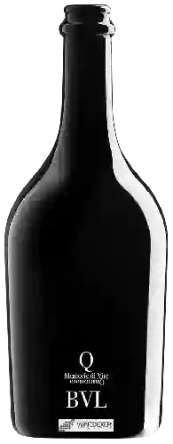 Winery Quartomoro - BVL Memorie di Vite