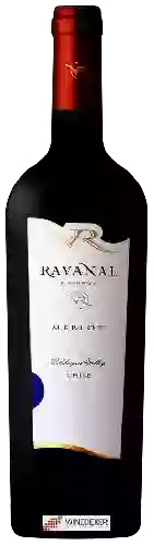 Winery Ravanal - Reserva Merlot