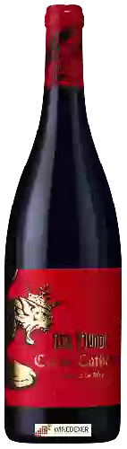 Winery Rex Mundi - Cuvée Cathare