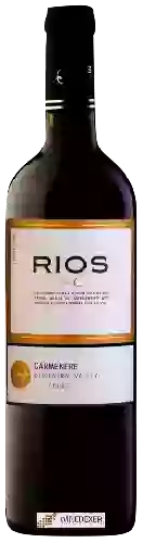 Winery Rios de Chile - Carmenère