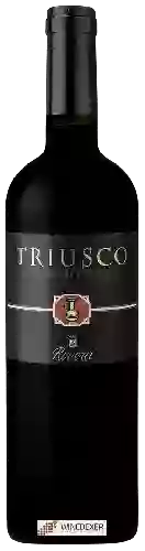 Winery Rivera - Triusco Primitivo