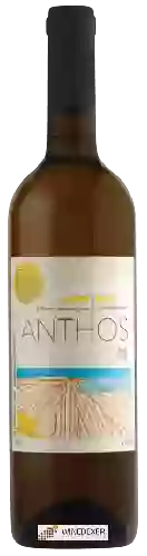 Rosha Winery - Anthos Rkatsiteli