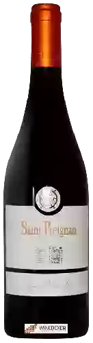 Winery Saint Preignan - Carignan Vieilles Vignes