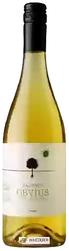 Winery Salcheto - Obvius Bianco