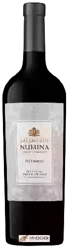 Winery Salentein - Numina Petit Verdot