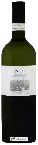 Winery San Marco - De' Notari Frascati Superiore Blanc