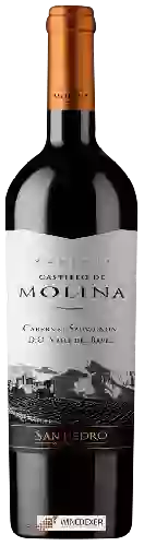 Winery San Pedro - Castillo de Molina Cabernet Sauvignon (Reserva)