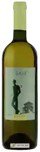 Winery Santa Colomba - Gagà