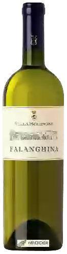 Winery Villa Schinosa - Falanghina